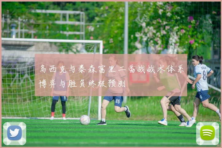 乌西克与泰森富里二番战战术体系博弈与胜负终极预测